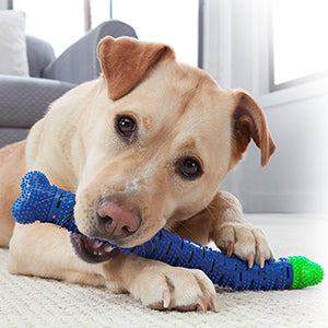 Mordedor Osso Removedor de Tártaros Para Cães - Chewbrush